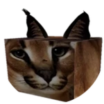 Found Floppa Roblox badge thumbnail