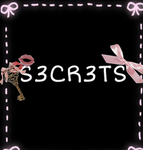 S3CR3TFANZ