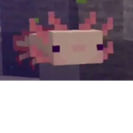 Ninjamp124 real