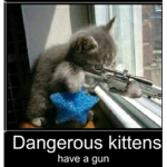 Danger Cats