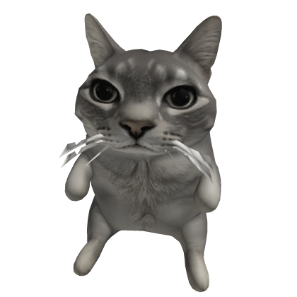 meme cat on head  Roblox item