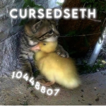 cursedseth