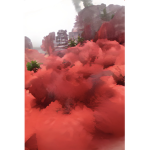 Red Mist Games
