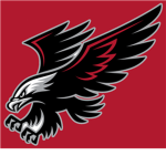 The BMHL Roblox Hawks