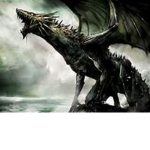 DRAGON BABY FOR LIFE