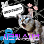 시크릿 수사반
