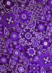 BAGANG PURP