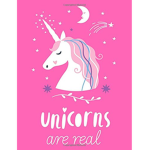 The amazing unicorns!!!!!!