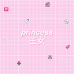 princess apparel !