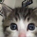 ZabivnieDHx