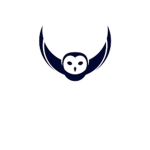 The Owl #########