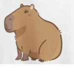 TEAM CAPIBARAS