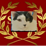 Impero Gattista