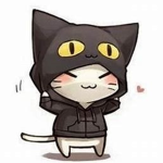 The Cat Shack