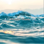 Wonder Waves