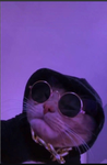 Brylee's kitty cats