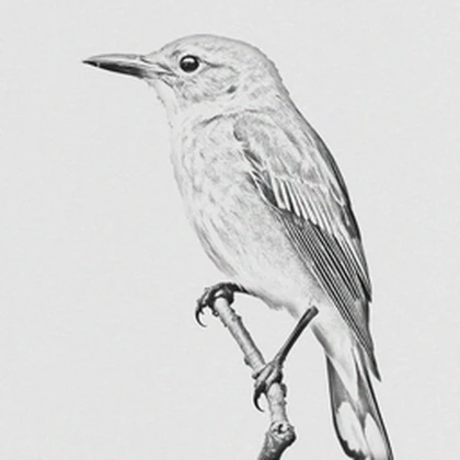 Group Icon