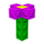 Bell Pepper