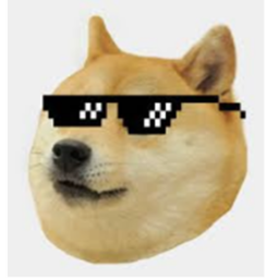 doge