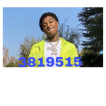 SUPREME GANG12