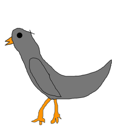 pigeon hangout