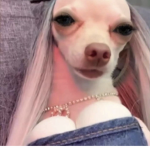 SUGACUBES