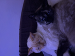 Cactuscat69 group!!!! :3