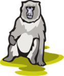 Baboon Inc.
