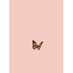 Aesthetic fans :3 be ur self
