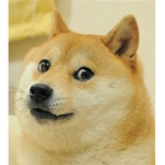 The Great Doge Legion