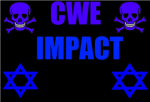 CWE impact