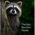 The Epic Raccoon Squad