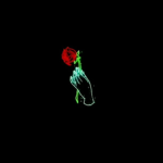 JENNY_TIK T()TOKER