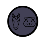 HamsterAndHorse Studios