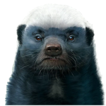 Honey Badger Supremacy