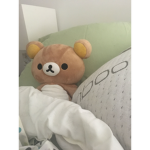 The Official Teddy Bears!