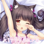 kittypara