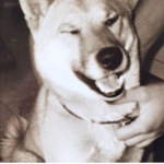 doggy1330's group
