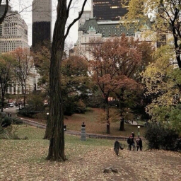 ˙✧˖° 🍂 ༘ ⋆°