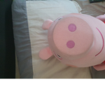 Peppa pig fans boi