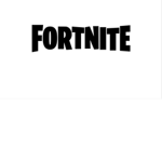Fortnite player’s group