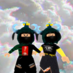 The Wallace Twins fan group