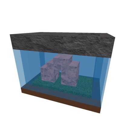 Small Fish Tank (no fish)
