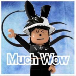 Much Wow .