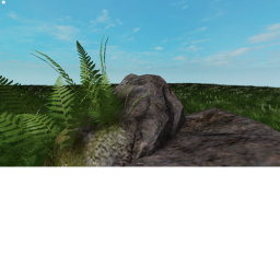 Oasis