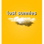 lost sunnies
