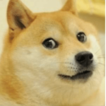 We Are The Doge Clan