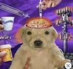 haha funny yeeeeeeeeeeeeet