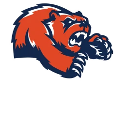 bridgeland Updated field icon