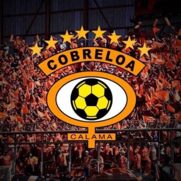 🏆 | Estadio Zorros Del Desierto Playa ZDD